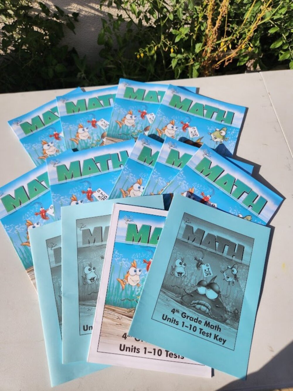 NEW 4th Grade Math Units Bright Thinker Curriculum Homeschool Mathematics Comple